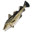 A throwable fish